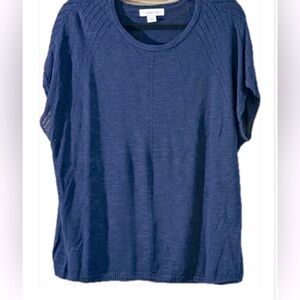 Liz Claiborne Blue Boxy Relaxed Sweater